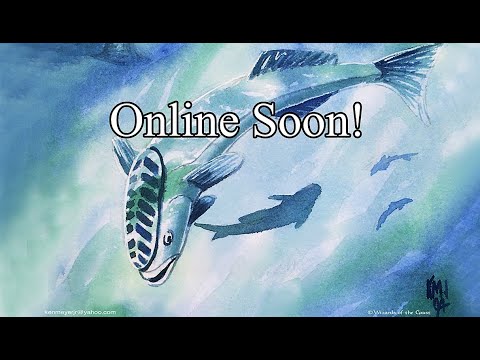 The Mystic Remoras cEDH Stream #4 Tymna/Kraum VS Zur VS Selvala VS Derevi