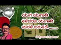 ಯುಗ ಯುಗಾದಿ ಕಳೆದರೂ ಯುಗಾದಿ ಮರಳಿ ಬರುತಿದ�