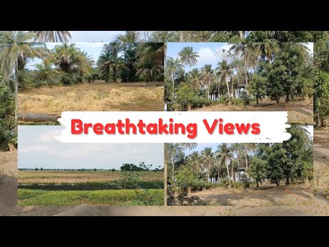 The breathtaking scenery inside Mambolo Chiefdom, Sierra Leone