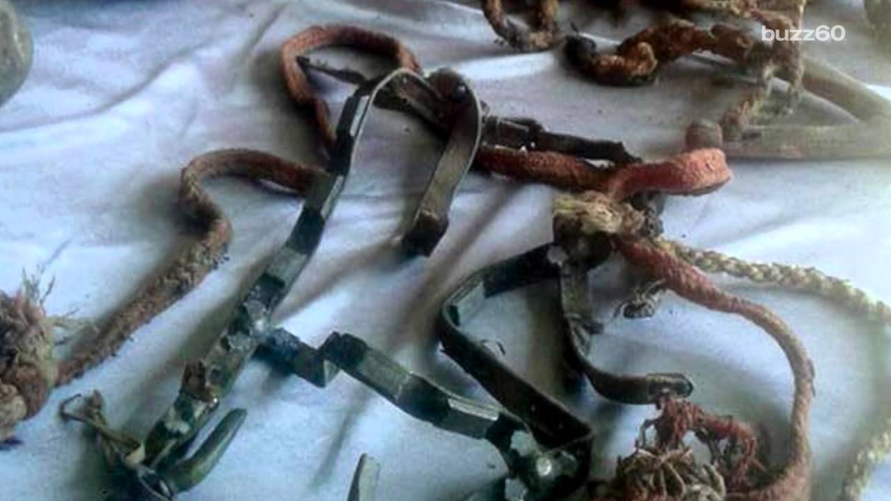The 1,100-Year-Old Discovery That Feels Shockingly Modern