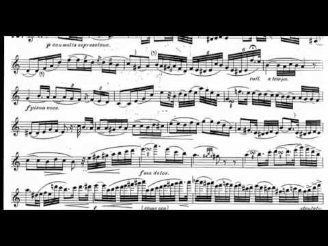 E. Kohler, 12 Etudies  Vol II, op. 33 - n.10. Flute Sara Bellini