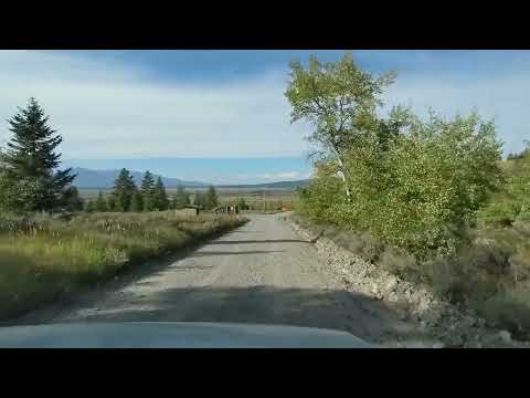 a glimpse of the crowded lower area