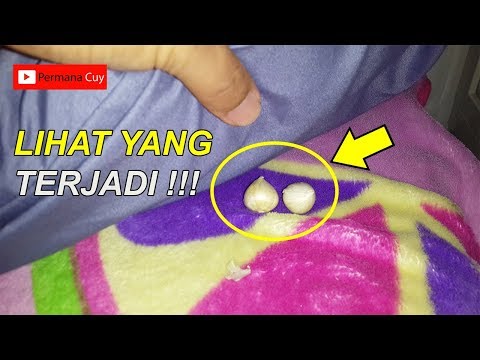 , title : 'Taruh Bawang Putih Di Bawah Bantal, Lihat Yang Akan Terjadi Pada Anda'