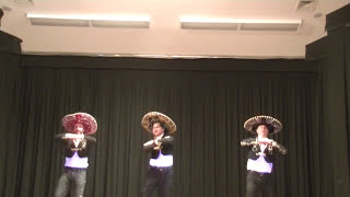 Mexican Hat Dance 2017