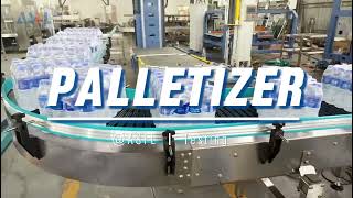 ASFL Palletizers for beverage packaging