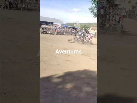 Corrida de toros Aiquile 2026 #toros #corrida #aiquile #cochabamba #bolivia #shorts #short #fyp
