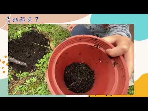 南勢分班-秋收班成長影片