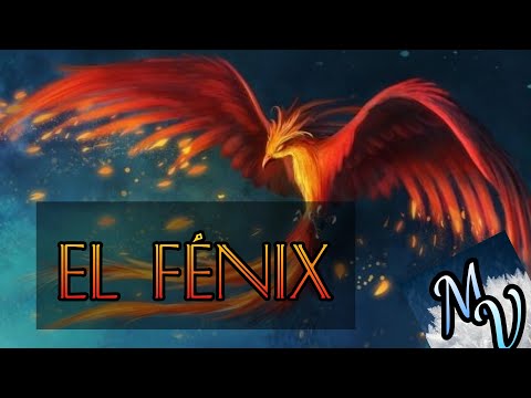 Fénix, el ave inmortal || Animales mitológicos