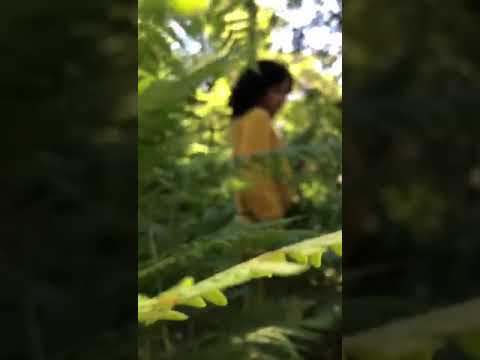 Tara Pull Rayé Patron de tricot video