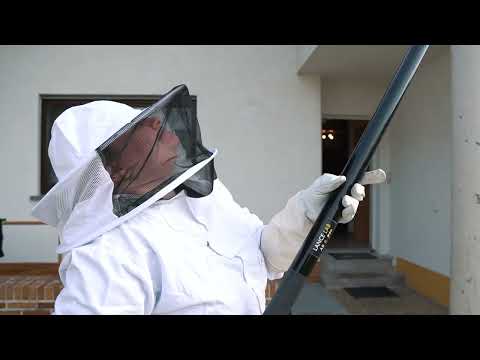 AM – Schädlingsbekämpfung YouTube-Vdeominiatur 1