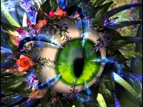 Sychotria VS  Ataro - Contact Learning