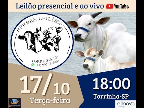 SERBEN LEILÕES - LEILÃO DE GADO- 17/10- TORRINHA / SP