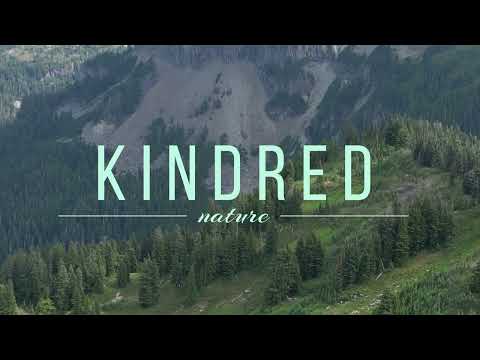 Relaxing Meadow with Ambient Nature Sounds, Wildflowers, and Mountain View  |KindRed Nature|