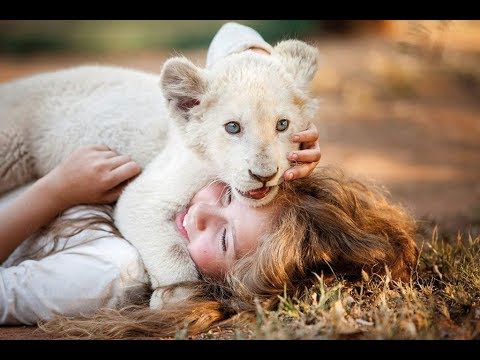 Tráiler en español de Mia y el león blanco