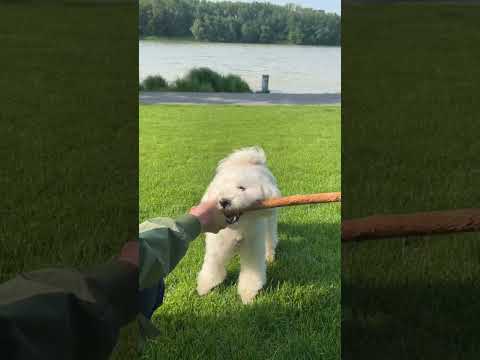 Apple AirTags: 悪用に対する新機能が発表 – 潮時だ