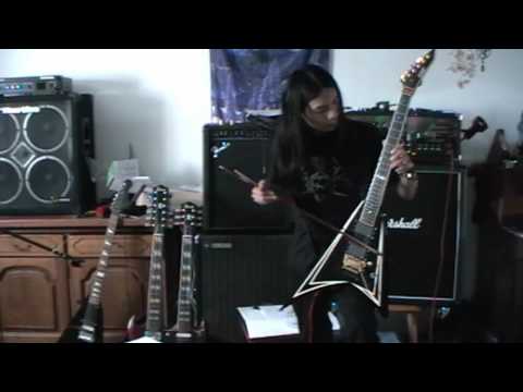 Last of the wilds ( Nightwish Cover ) on a bowed guitar video thumbnail