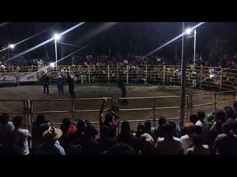 En el Jaripeo de Tejutla, Chalatenango, se vivió el concurso del Jala-Jala…Gracias por su apollo