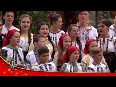 Grupul folcloric ”Bilcuta”