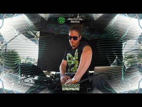 Sensitive Seeds Live  @Ethereal Decibel  Festival 2023