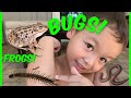 KIDS PLAY BUG HUNT OUTDOOR ADVENTURE WITH REAL BUGS and BABY FROGS!