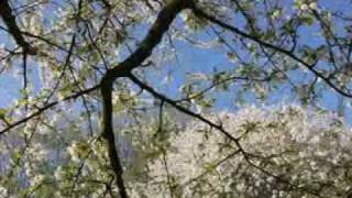 July Skies - girl on the hill demo