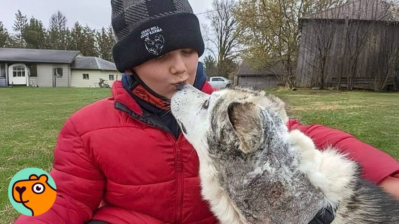 Senior Dog Hilda Finds Forever Home After Special "Old Ones" Event