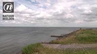 preview picture of video 'De kust van het IJsselmeer bij de haven op Oude Zeug'