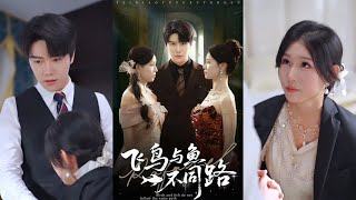 🔥MULTISUB《飞鸟与鱼不同路》祝静怡&曲曦晨#短剧 #最新短剧#短剧合集#都市#虐恋#爱情#复仇#大陸劇#大结局#爆款短剧 #drama #恋爱 #甜宠#小言推文