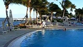 preview picture of video 'South Seas Island Resort, Captiva Island, FL, 1'