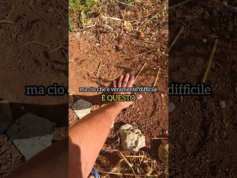 La cosa più difficile e dolorosa... #fitness #animals