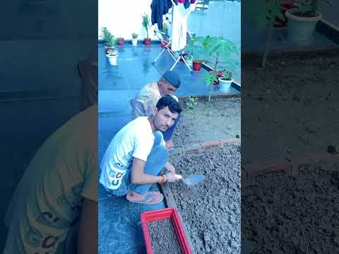 Its a forth day of plantation🥰🌸 #flowers #love