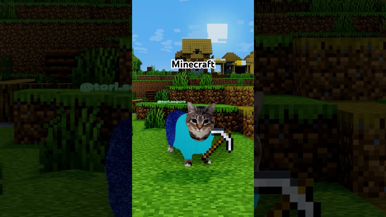 OIIA Cat x Minecraft