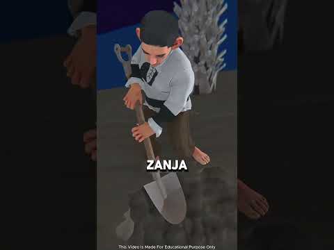 Se burló del capitán 🧠🏴‍☠️💣