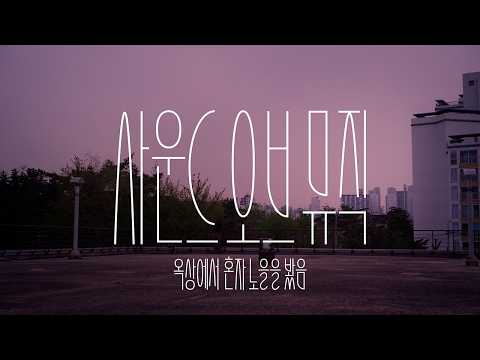 잔나비 - 옥상에서 혼자 노을을 봤음 album art