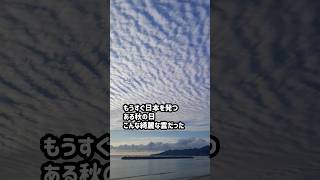 日本一時帰国 2024年 最後まで食べたい物満載の日本