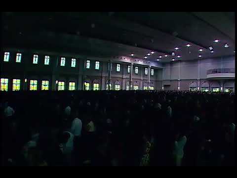 Me rendo aos teus pés