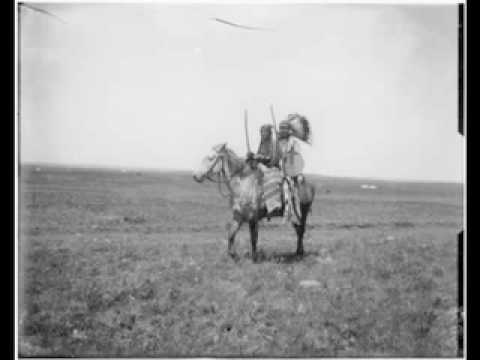 Neon Indian - Should Have Taken Acid With You