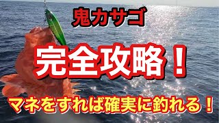 【必見】鬼カサゴ完全攻略！鬼カサゴを釣りたい人は絶対見るべき！