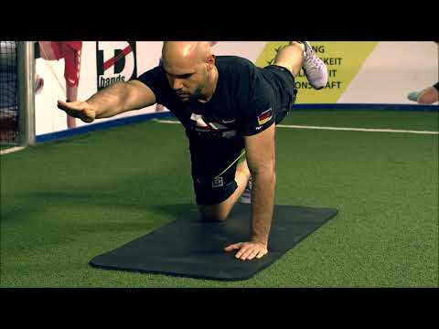 DBands Video - Vierfüsslerstand mit DBands