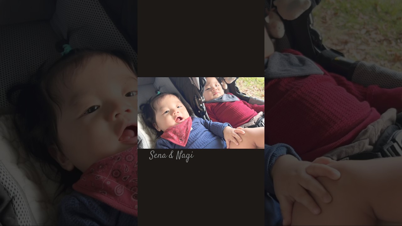 2024.11.4 双子の日常