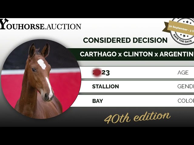 Considered Decision