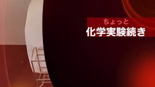 化学実験の続き　ビタミンC