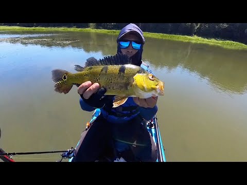 Pescaria no Lago de Itaipu estamos retornando depois do acidente! 