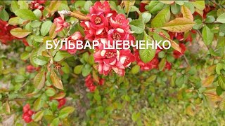 ВЗРЫВЫ И ДНЁМ И НОЧЬЮ В ЗАПОРОЖЬЕ 18 АПРЕЛЯ 2026 