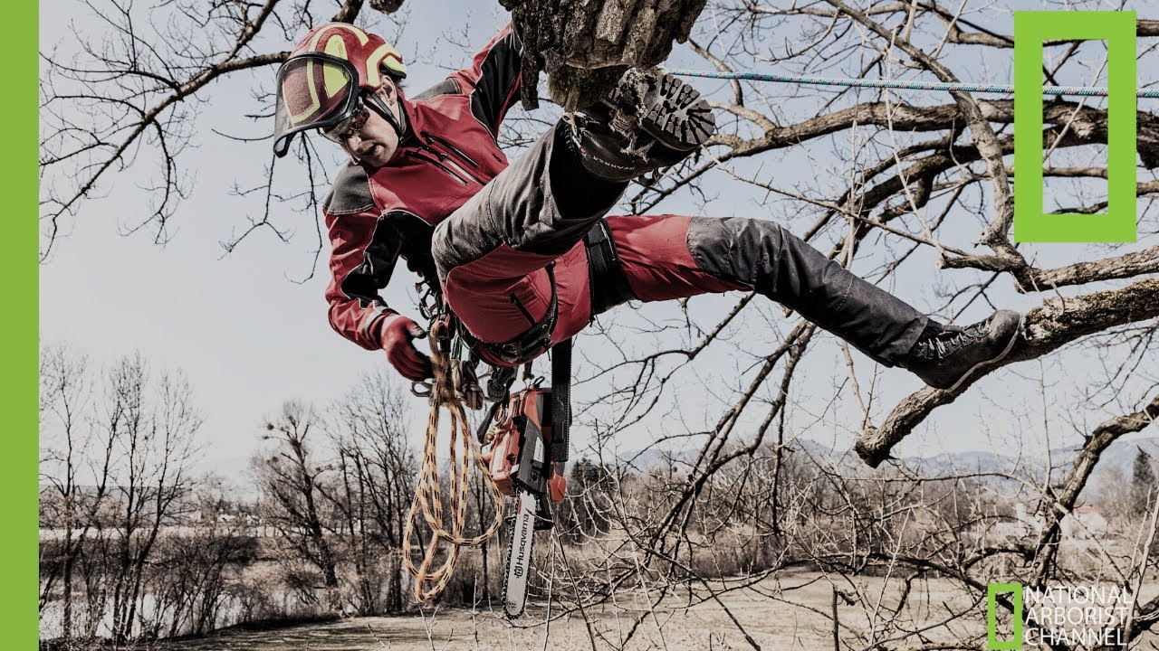 The Introduction | National Arborist Channel | Episode 1