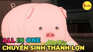 ALL IN ONE | Chuyển Sinh Thành Lợn Tại Dị Giới | Review Anime Hay