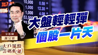 大盤輕輕彈 個股一片天