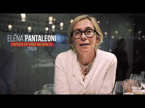 Itata Wine — Terko Films