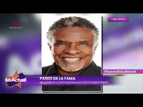 Celebridades que recibirán su estrella en el Paseo de la Fama de Hollywood – Lo Actual 04/07/25