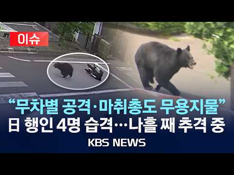 [🔴이슈] "사람 덮치고 할퀴고, 마취총도 소용없었다"…'곰 습격' 공포에 떠는 일본/2026년 6월 6일(토)/KBS